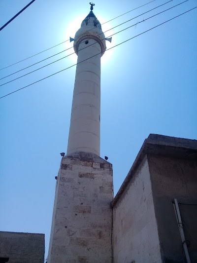 مسجد محمد الابراهيم