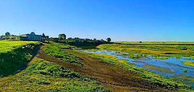 مسجد مركيز