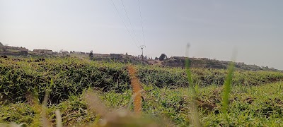 مسجد مظبعة