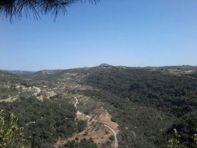 مسجد سيدنا محمد