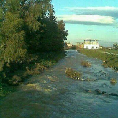 مسجد زمرين