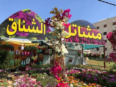 مشاتل الشناق العالمية