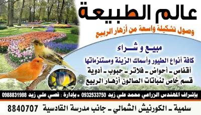 مشتل عالم الطبيعة