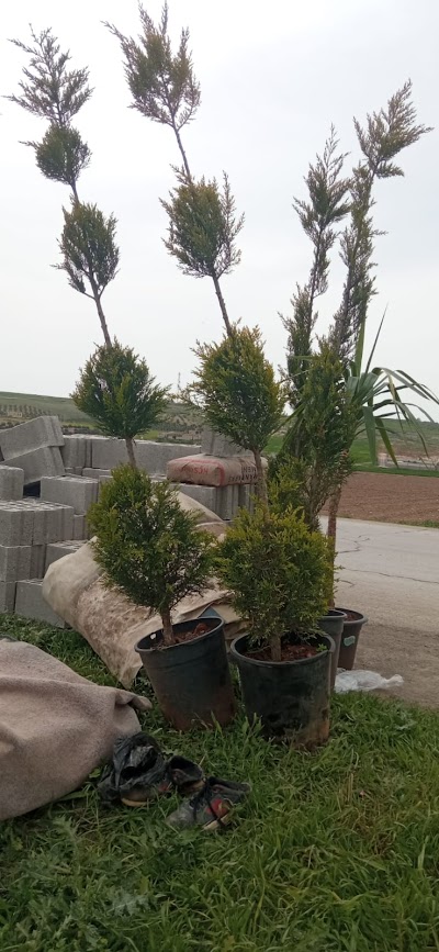 مشتل الإيمان