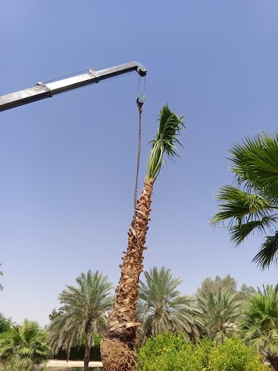 مشتل الحمود