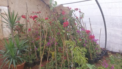 مشتل الروضة خان شيخون
