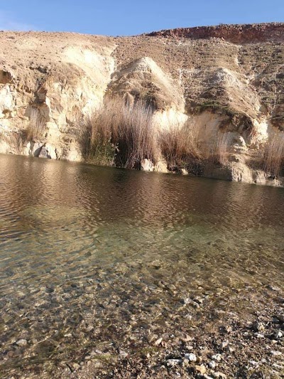 مستشفى الطب الحديث 2