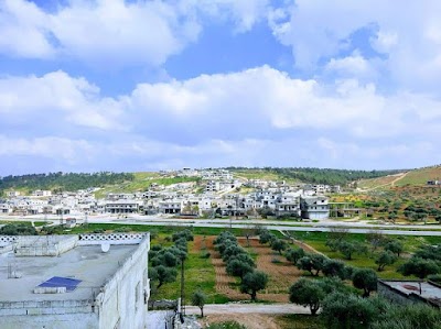 مصيبين