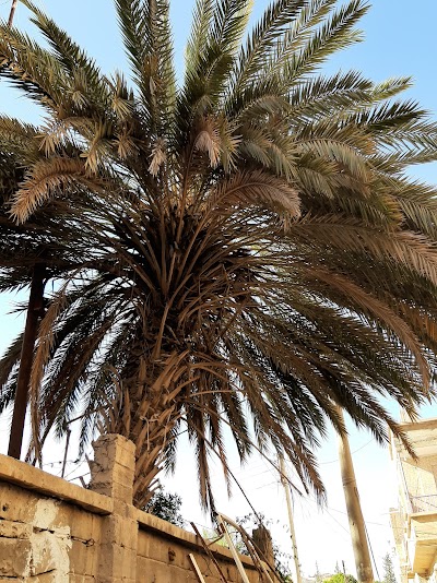 مطعم ابوالحارث