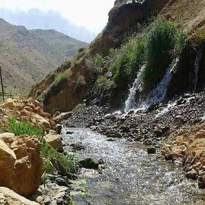 مطعم الامل