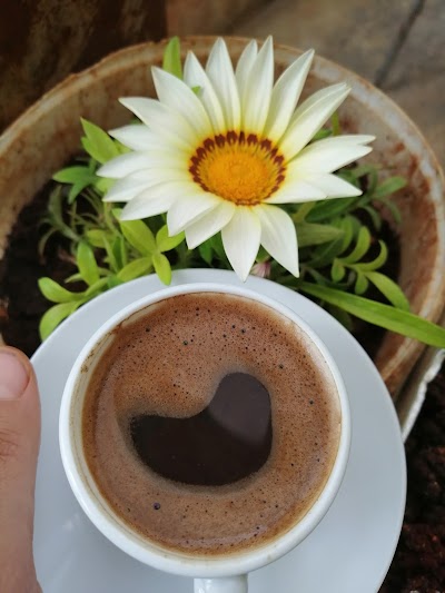 مطعم البكور