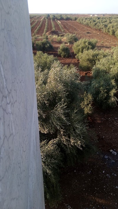 مطعم الجولان