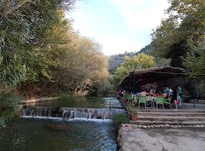 مطعم الساحر