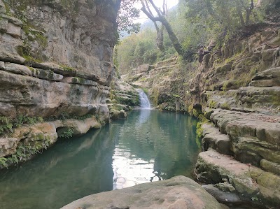 مطعم جنة الوادي