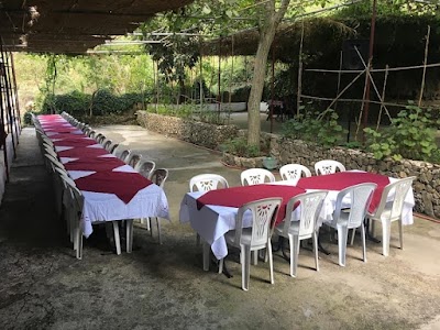 مطعم نبع الصفا