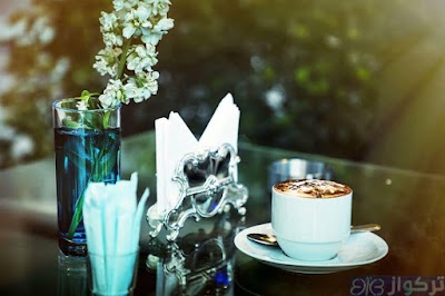 مطعم وكافيه تركواز
