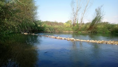 مطعم ومنتزه شلالات العاصي