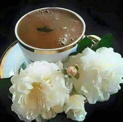 مطعم تاج محل