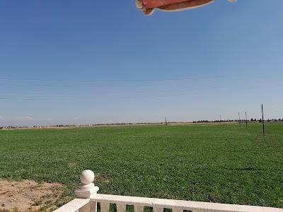 مزارع-خيرالله-السيّد