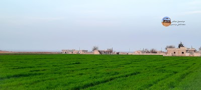 مزرعة ابو وليد مردسميل