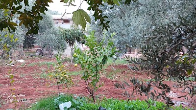 مزرعة إبراهيم زيواني