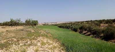 مزرعة الحاج علي