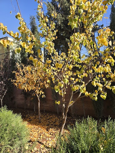 مزرعة معتز حمودة