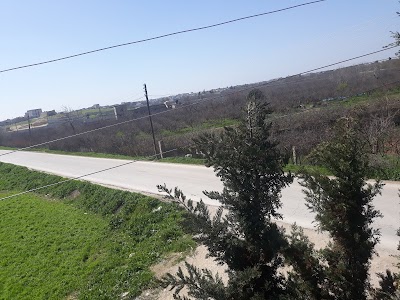 مزرعة صبري الجاسم