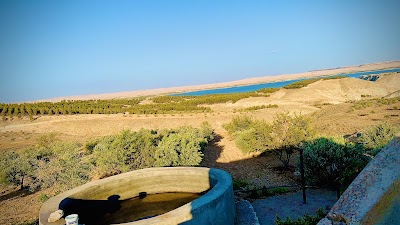 مزرعه رافع المنير