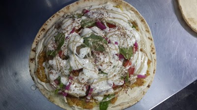ناجي شنيص