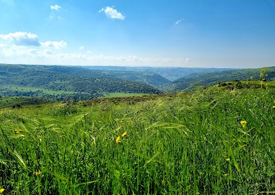 Nakhal Meitsar Reserve Parking