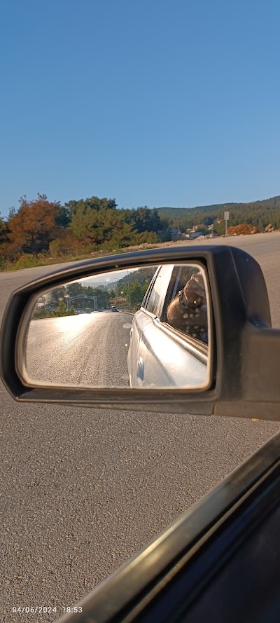 Nargile kafe Yayladağ