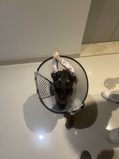 NAUGHTY DOGS VETERINARY CLINIC CENTER S.A.R.L