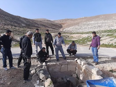 نبعة وادي الجوز