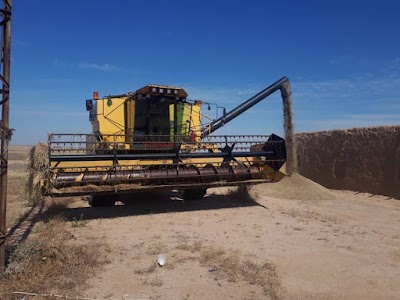 Newholland koyo