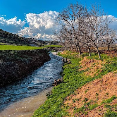 نهر السيبراني