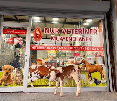 NUR VETERİNER KLİNİĞİ