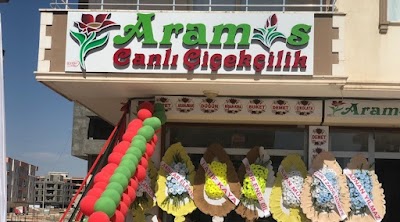 NUSAYBİN ARAMİS ÇİÇEKÇİLİK