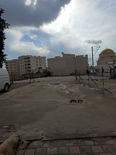 NUSAYBİN SERİNCE ÇİĞ KÖFTE