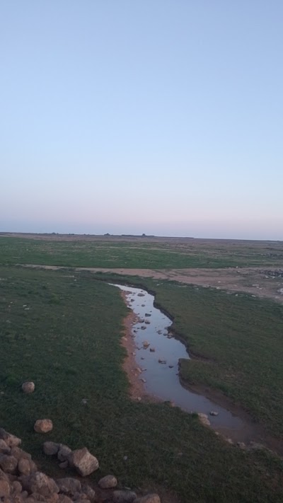 وادي رسم الحصان