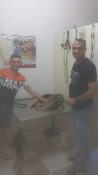Olgun Veteriner Kliniği