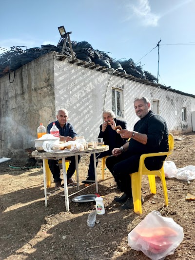 Otluk Koyu Muhtarligi