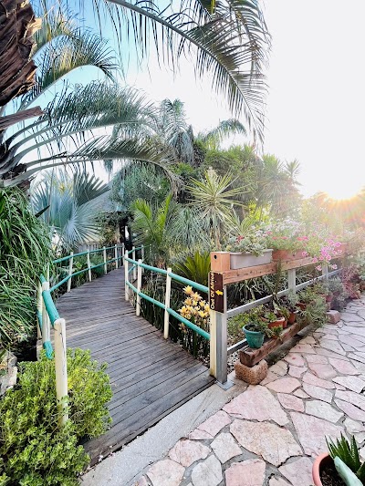 Out of Africa Resort