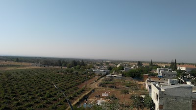 Oylum Höyük