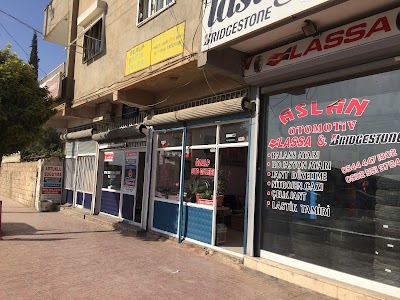 Öz alp oto galeri
