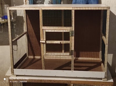 Ozan Petshop