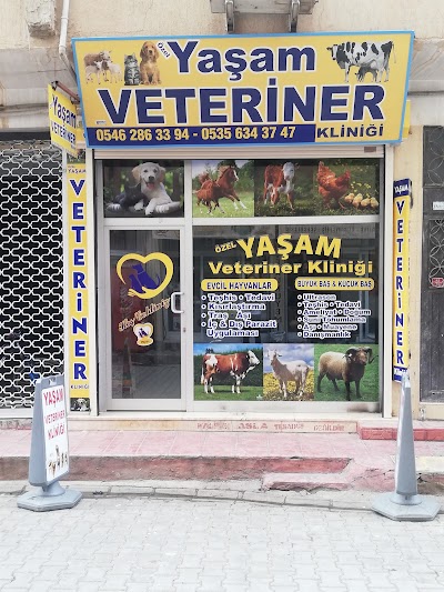 ÖZEL YAŞAM VETERİNER KLİNİĞİ