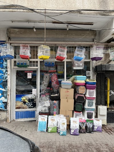 Özgür Akvaryum