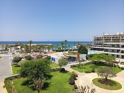 Palma