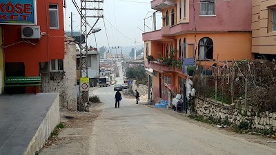 Pan - Vet Veteriner Kliniği
